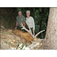 Hirschabschuss in Tscherms von Sonja geschtztes Alter 20